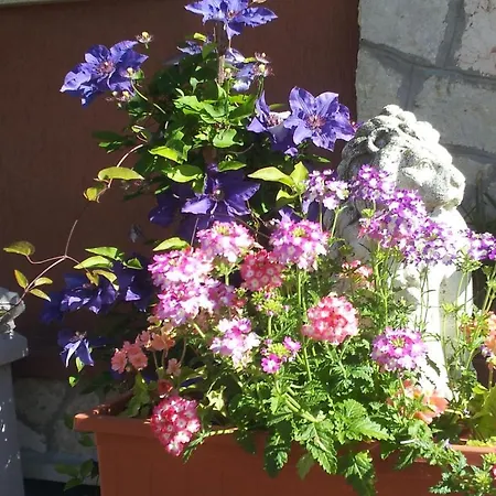 Bed & Breakfast Desenzano Desenzano del Garda